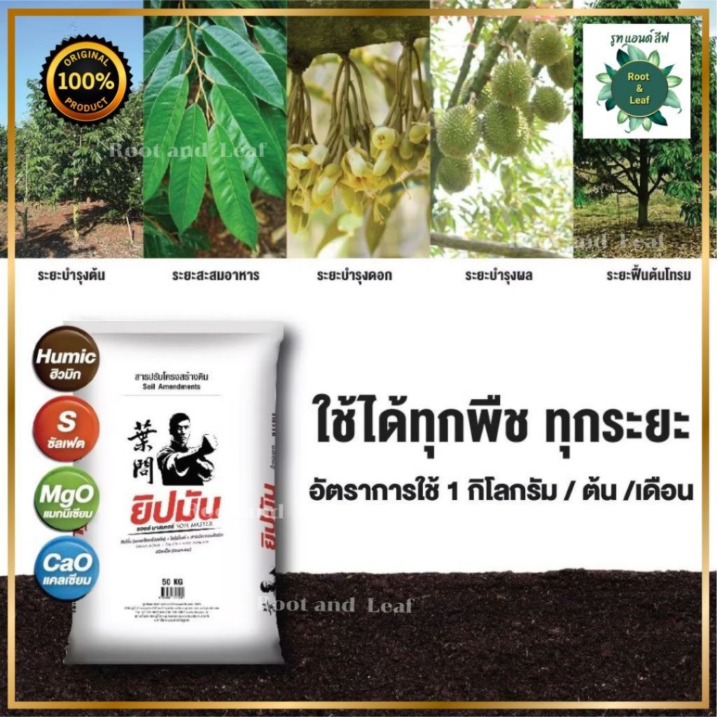 ยิปมัน-ยิปซั่ม สารปรับโครงสร้างดิน 3 พลัง 4 ธาตุ สร้างเสริมวิตามิน โปรตีนให้พืชสมบูรณ์แข็งแรง - รูปที่ 4