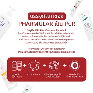 [เจลยางลบฟาร์มูล่า] Pharmular Dark Spot And Scar Gel