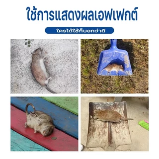 📢ไม่มีหนูตลอดไป📢เครื่องไล่หนู2025 ที่ไล่หนูไฟฟ้า ไล่หนูในบ้านได้ผล100% นอกจากหนูแล้ว ไล่จิ้งจก แมลงสาบไล่ยุง ค้างคาวปลวก