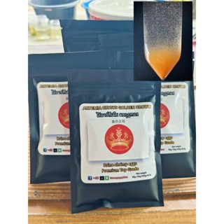 30 กรัม ARTEMIA CYSTS GOLDEN CROWN ไข่อาร์ทีเมีย มงกุฎทอง