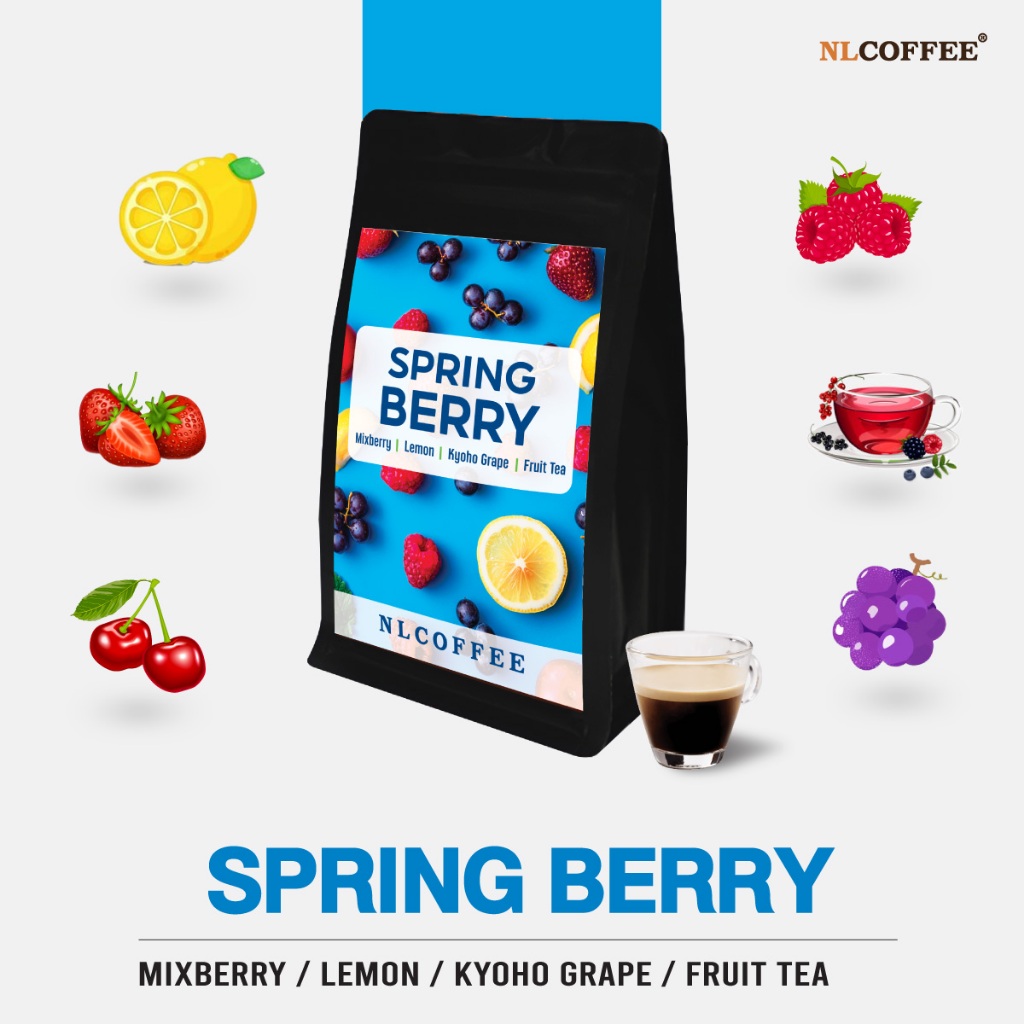 NLCOFFEE SPECIALTY เมล็ดกาแฟ Spring Berry  สปริงเบอร์รี่ เบลนด์