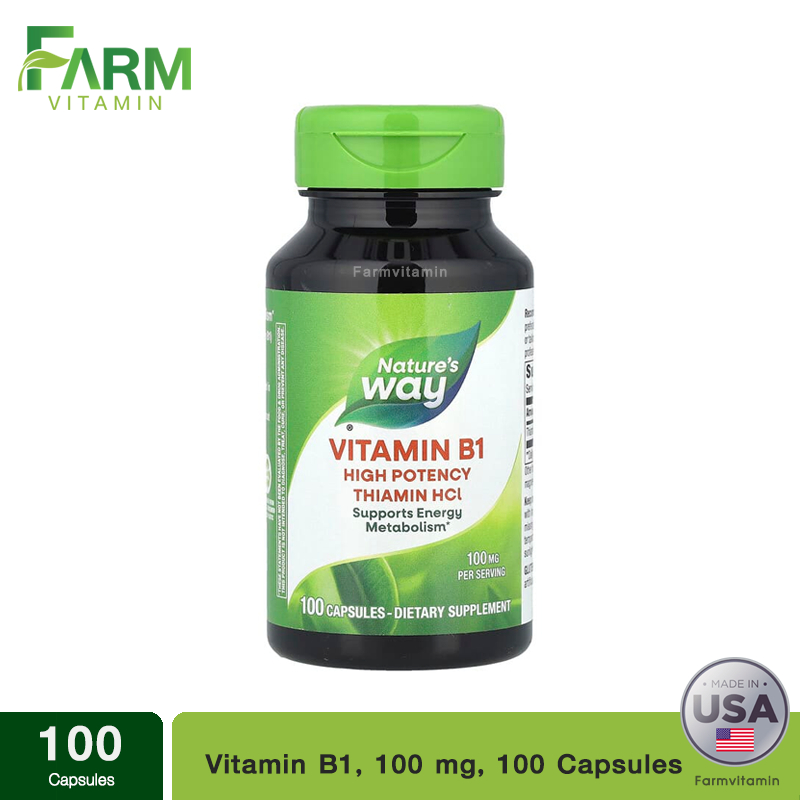 Nature's Way, Vitamin B-1, 100 mg, 100 Capsules