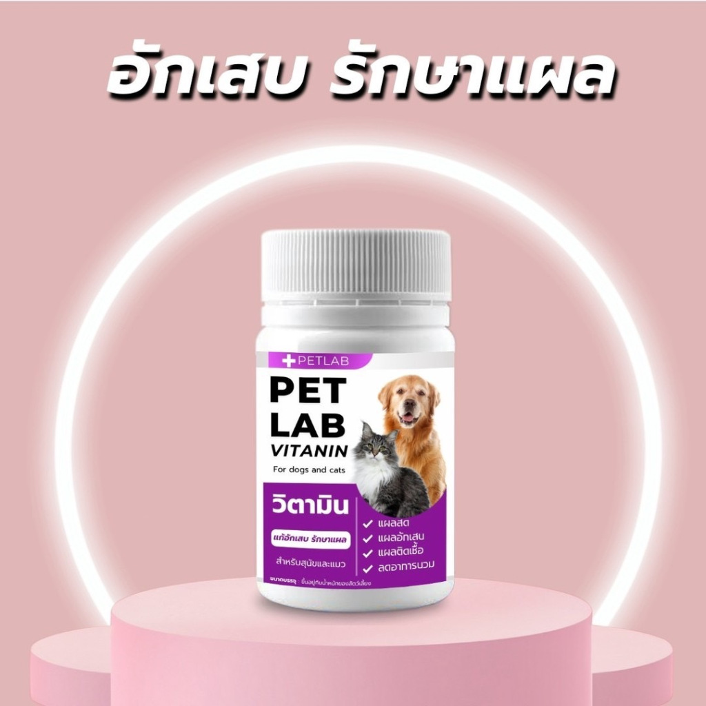 รูปภาพ 6