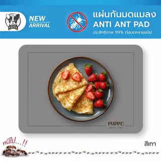 🔥🔥ไล่มด💯รุ่นใหม่ แผ่นกันมด แมลง (ของแท้) Anti-ant pad ขนาด 30x42cm มีหลายแบบให้เลือก