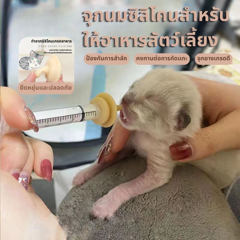 ⚡จุกนมแมว ขวดนมลูกแมว จุกนมกระรอก หัวนมกระรอก ขวดนมแมว ซิลิโคนเกรดอาหาร จุกป้อนนมแมว สำหรับ แมวแรกเกิด จุกนมสัตว์เลี้ยง