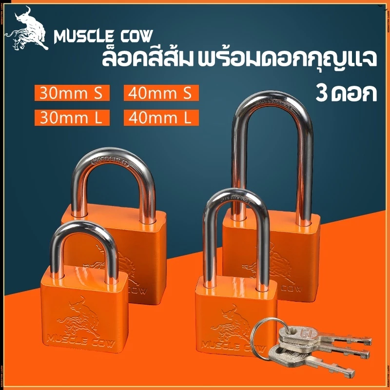 MUSCLE COW กุญแจทองเหลืองกันน้ำคุณภาพสูง ขนาด 30-50 มม. ของแท้ 100%