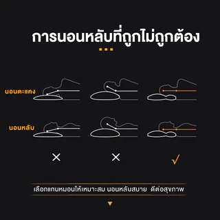 💥พร้อมส่ง💥 ซื้อ1แถม1 หมอนเพื่อสุขภาพ นุ่มฟู นอนหลับนาน ไม่ยุบ ป้องกันไรฝุ่น รองรับเอวและไหล่ บรรเทาอาการปวดคอ หมอนหนุน