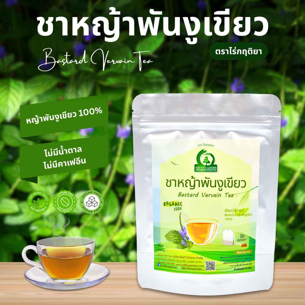 ชาหญ้าพันงูเขียว ตราไร่กฤติยา (Bastard Vervain Tea, ต้นน้ำดับไฟ)