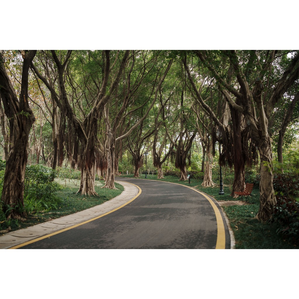 VILTROX 35mm F1.2 AUTO FOCUS ( Sony FE / NIKON Z ) Full frame LAB AF / เมาท์ FE / E / NEX / Z MOUNT 35 MM F 1.2 ฟูลเฟรม - รูปที่ 3