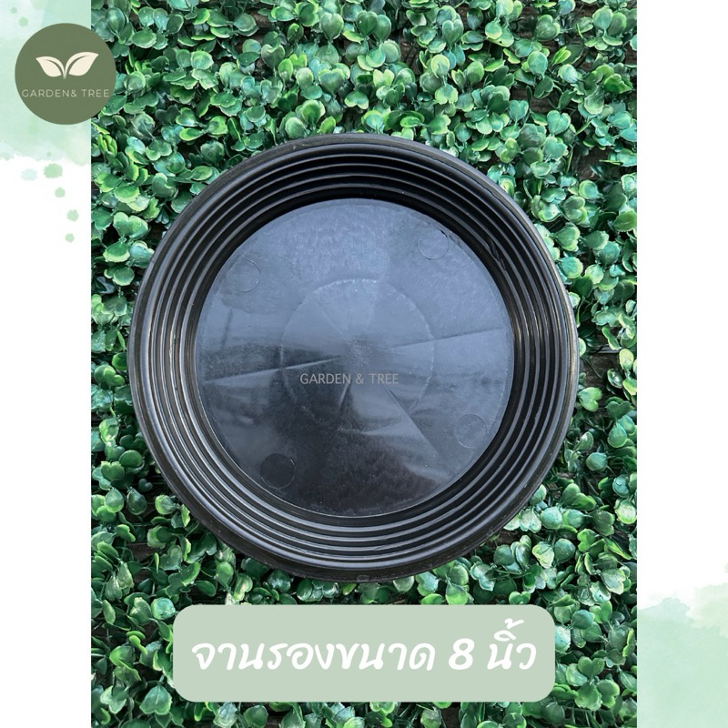 จานรองกระถางขนาด 8 นิ้ว