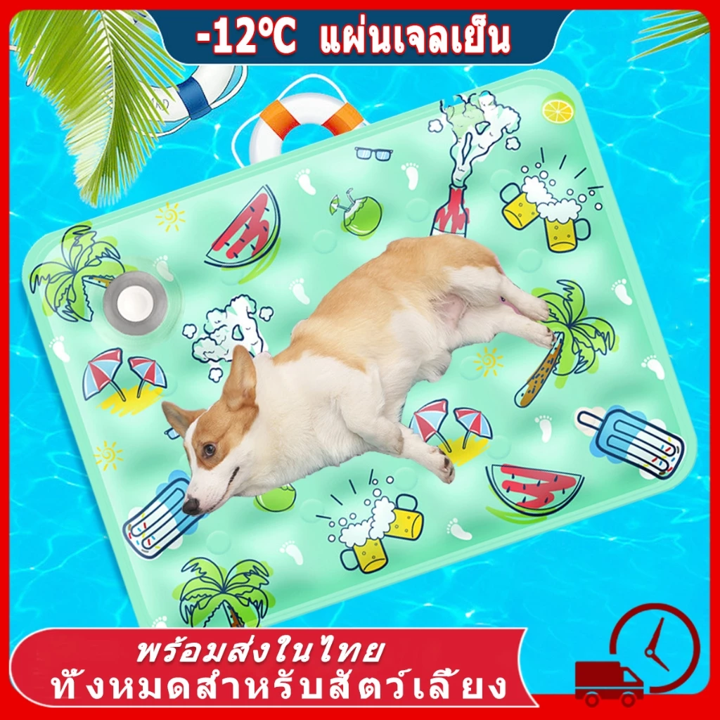 แผ่นเจลเย็น ที่นอนแมวเย็น สัตว์เลี้ยง ไม่ต้องแช่ตู้เย็น