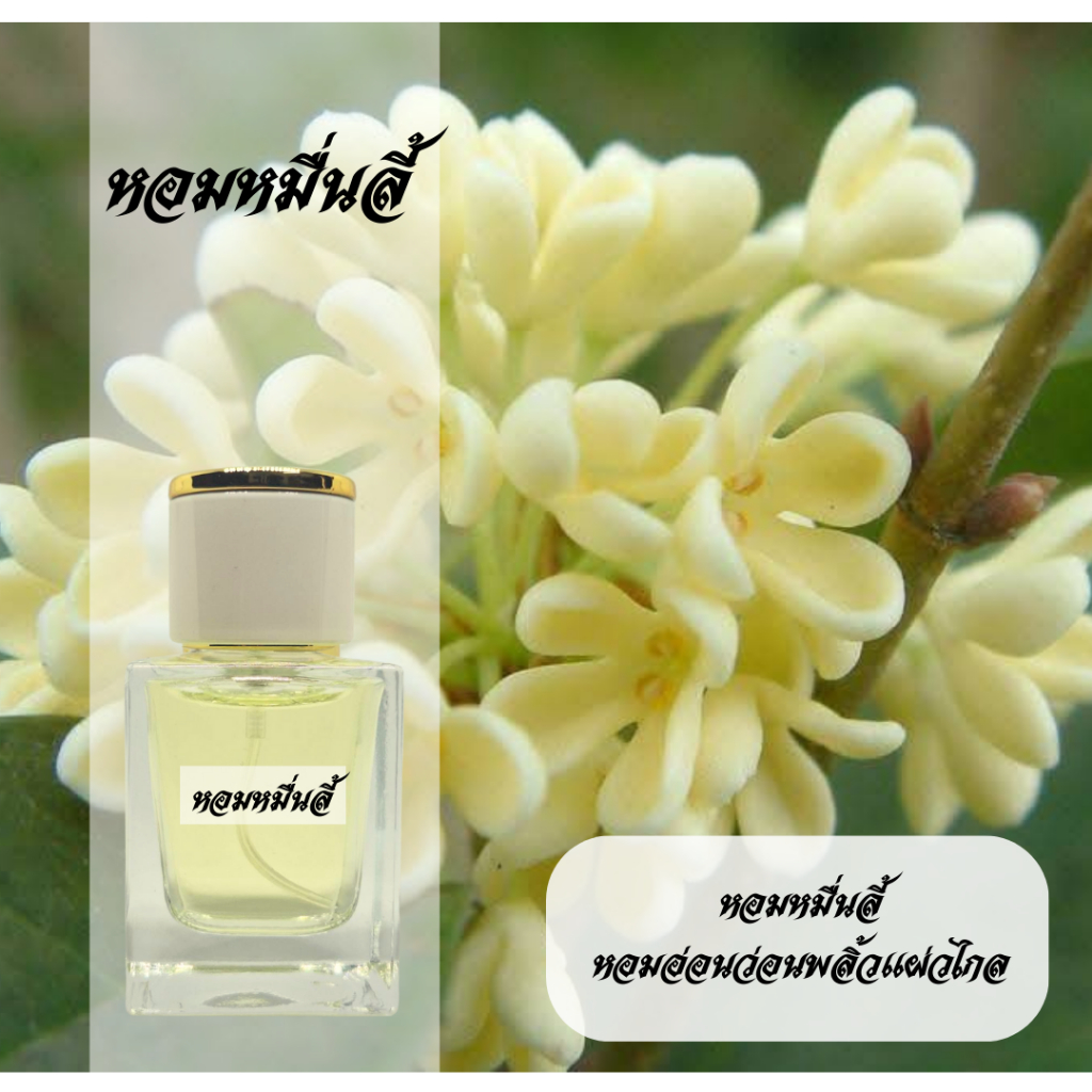 น้ำหอมกลิ่นดอกหอมหมื่นลี้ กลิ่นดอกไม้ไทย หอมติดทนนานตลอดวัน ขนาด30ซีซี รับประกันหอมละมุนถูกใจ