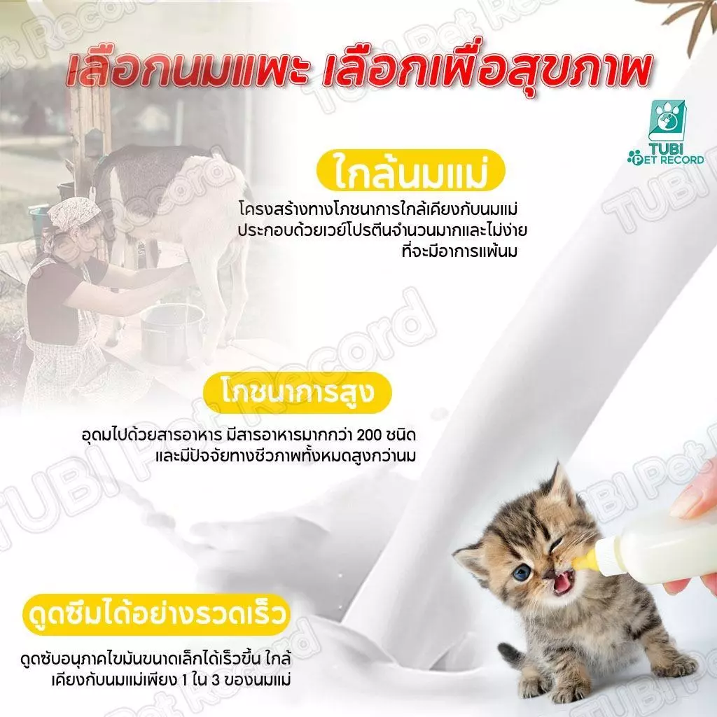 PETStar1 นมแพะผง 300g สำหรับลูกแมว-ลูกสุนัข โปรตีนสูง thumbnail 5