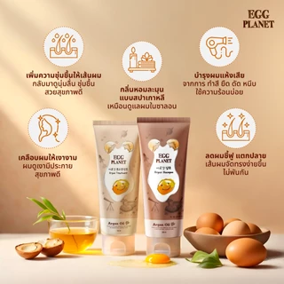 [Special Deal][Best Seller] DAENG GI MEO RI แชมพูไข่ แทงกีโมรี Egg planet Anti-Hair Loss ผมนุ่ม ฟื้นฟูผมแห้งเสีย