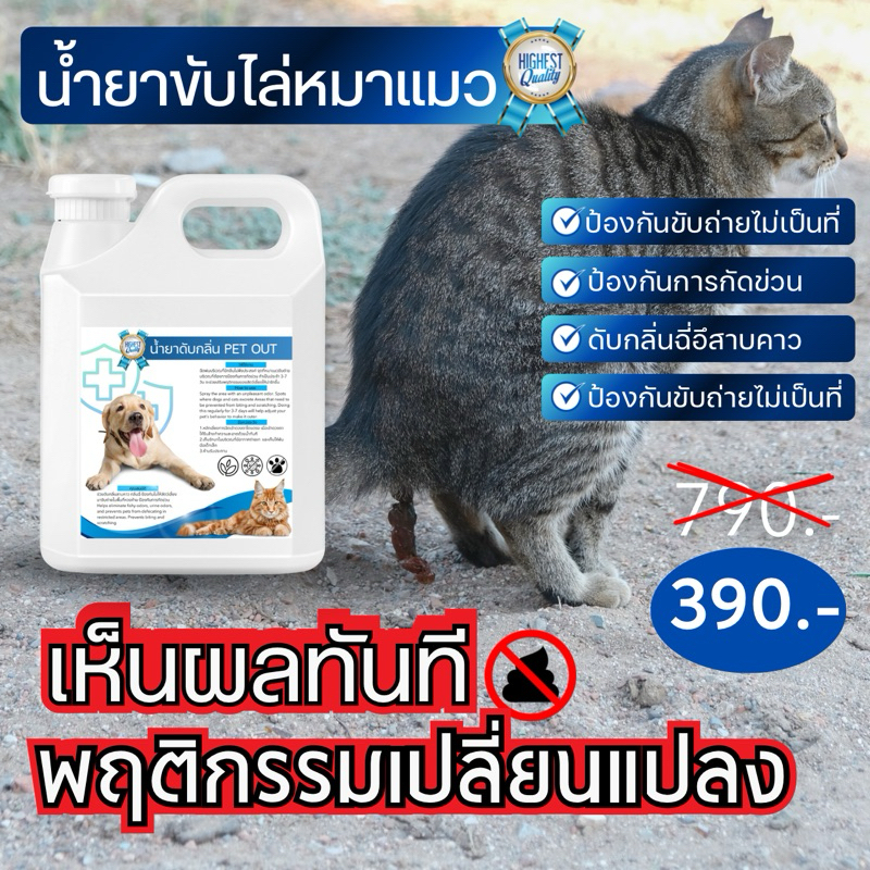 น้ำยาหยุดฉี่ PET OUT ปรับพฤติกรรมสัตว์เลี้ยงขับถ่ายไม่เป็นที่