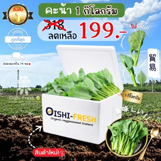 🛒Oishi-Fresh🥬ผักคะน้า ปลอดสารพิษ 1 กก. รสชาติกรอบ สด ใหม่ ใย…
