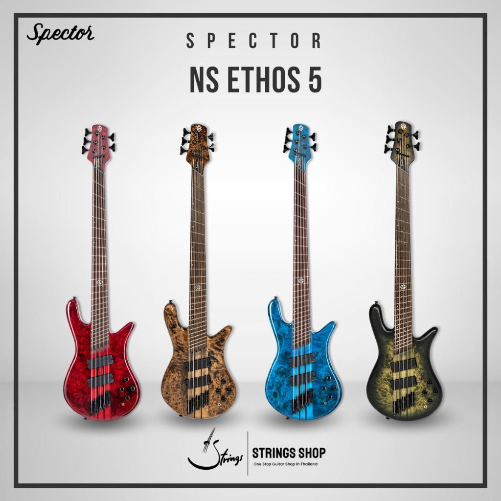 เบสไฟฟ้า Spector NS Dimension 5 Bass Guitar