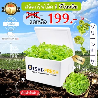 🛒Oishi-Fresh🥬กรีนโอ็ค ปลอดสารพิษ 1 กก. รสชาติกรอบ สด ใหม่ ใยอาหารสูง หวานออร์แกนิค ผัก เคลมได้ 1-2 วัน