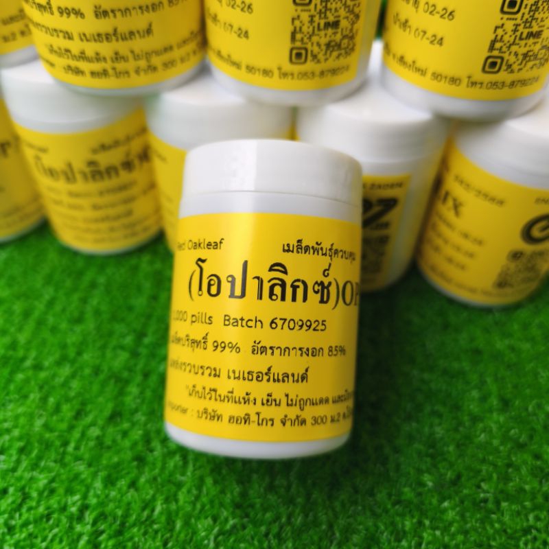 เมล็ดพันธุ์ผักสลัด ชนิดเคลือบ ENZA ZADEN แบ่งบรรจุ 100 เมล็ด - รูปที่ 5