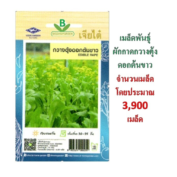 5 ฟรี 1 คละได้ เมล็ดพันธุ์ กวางตุ้ง ดอกต้นขาว เจียไต๋ เมล็ดพันธุ์ผัก เมล็ดผัก เมล็ดพันธุ์พืช