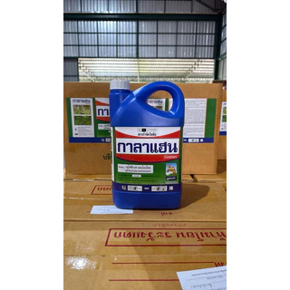 กาลาแฮน [ 4 ลิตร ] สูตรทนฝน ใช้เพียง150ซีซีต่อ 20 ลิตร กลูโฟซิเนต เนื้อยามาเลเซีย ตราอูฐทองคำ ยาเกรดดี ใช้ปริมาณต่ำ