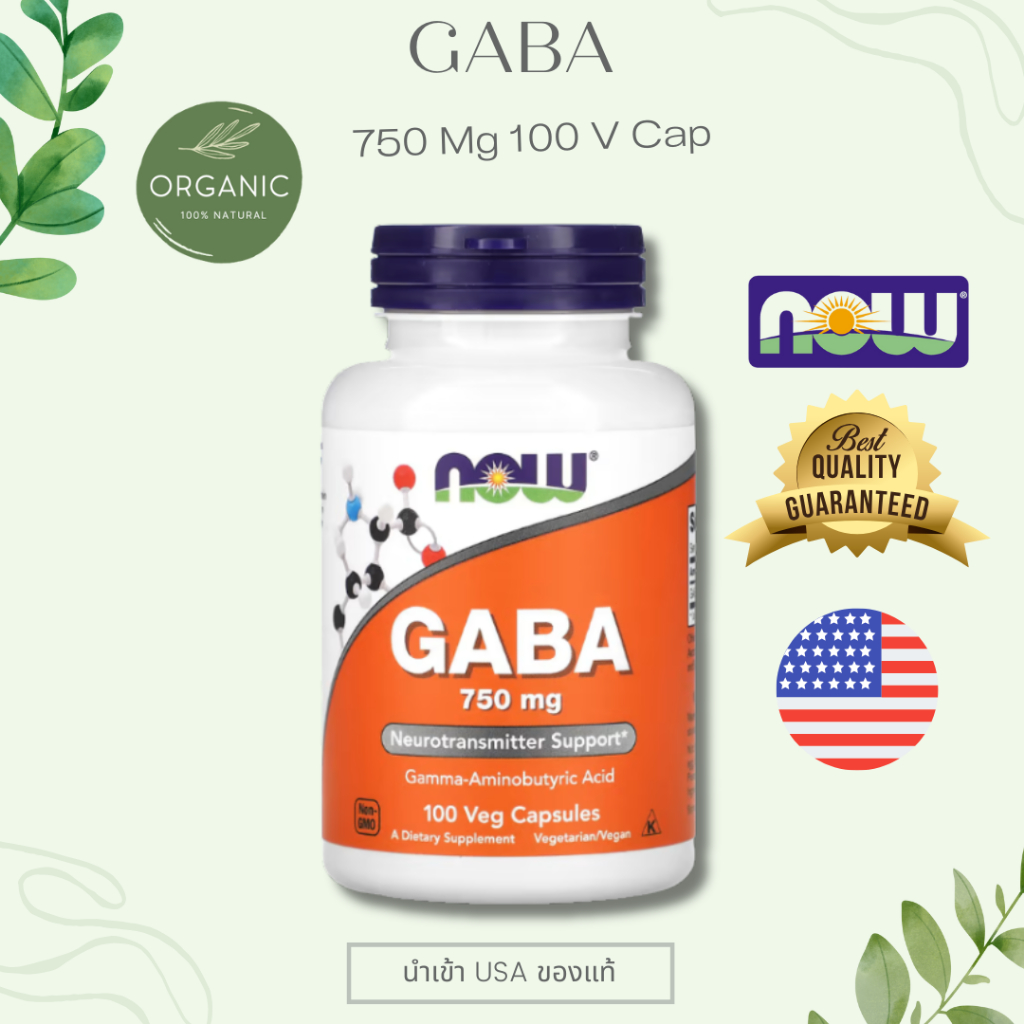 [พร้อมจัดส่ง] NOW FOOD GABA 500/750mg 100 Veg Caps ช่วยเรื่องความเครียด สมอง และการนอนหลับ