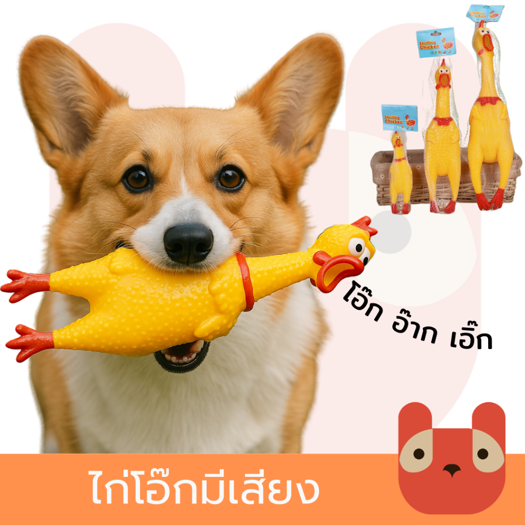 ไก่โอ๊ก ของเล่นสุนัข ร้องหนักมาก ของเล่นหมา ของเล่นยางกัด ไก่บีบ Chicken sound toy