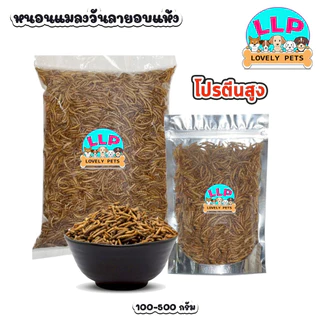 [LLP] หนอนนกอบแห้ง 100g 200g 500g ขนมสำหรับสัตว์เลี้ยงแฮมเตอร์ ชูก้าไรเดอร นก ปลา