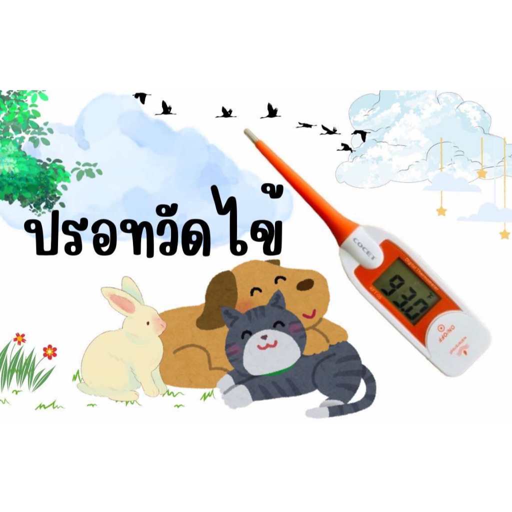 ปรอทวัดไข้ สำหรับสัตว์เลี้ยง (thermometer)