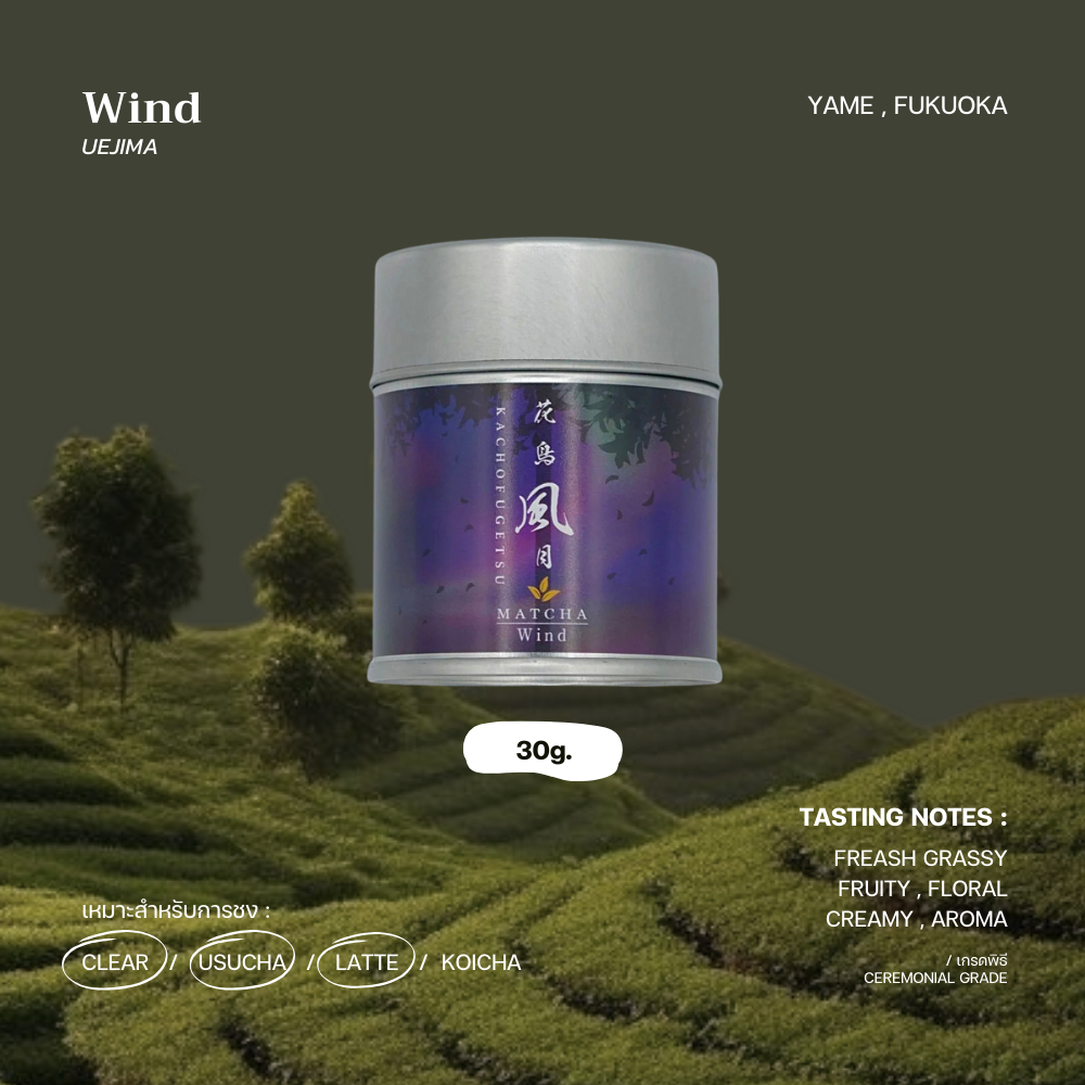 มัทฉะเกรดพิธี "Wind" - UEJIMA TEA