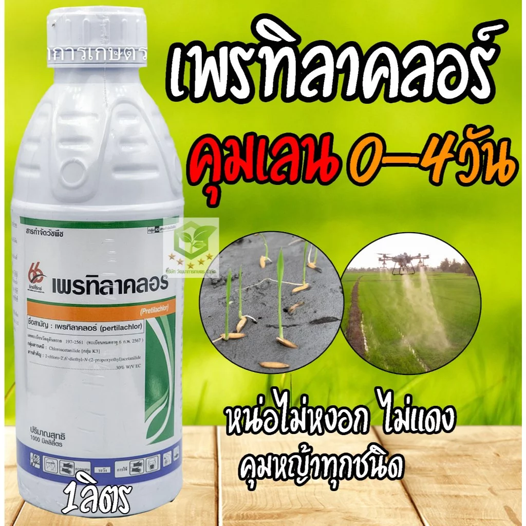 เพรทิลาคลอร์ 66 ยาคุมหญ้า คุมเลน 0-4 วัน ข้าวไม่แดง หน่อไม่หงิก ป้องกันกำจัดวัชพืช ยาคุมหญ้า ในนาข้าว โซฟิต