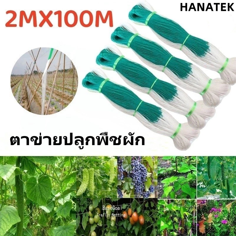 【COD】างปลูกผัก ค้างผัก 2*100m ตาข่ายปลูกผัก ตะข่ายไนลอน ต้นไม้เลื้อย อวนแตง ตาข่ายปลูกแตงกวา