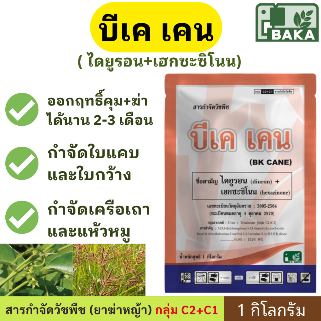 บีเค เคน 1 kg ( ไดยูรอน + เฮกซะซิโนน ) สารกำจัดวัชพืช ในไร่อ้อย