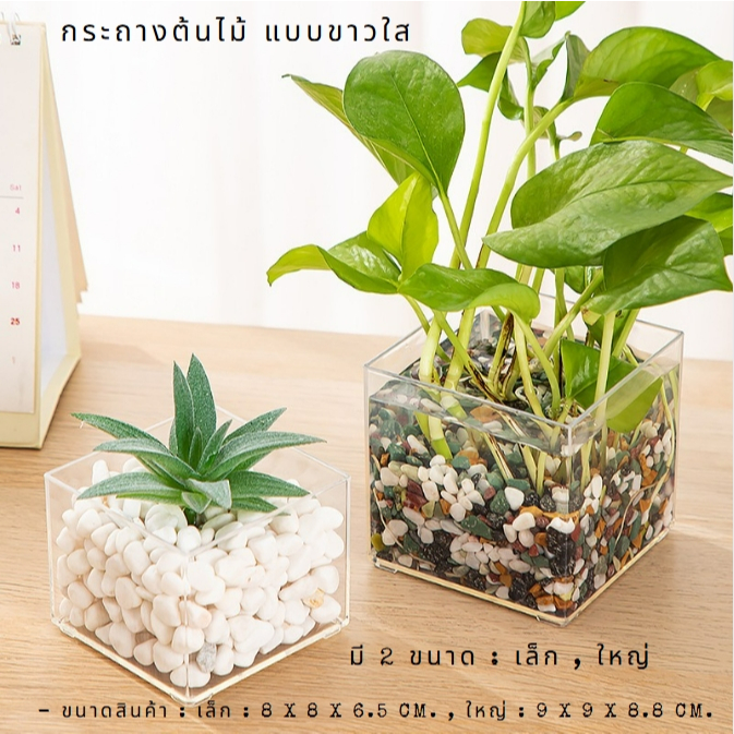 กระถางต้นไม้ แบบขาวใส สําหรับปลูกต้นไม้ ในออฟฟิศ ประหยัดพื้นที่ ใส่ดอกไม้ งานตกแต่ง และใช้งานอเนกประสงค์