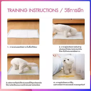 แผ่นรองฉี่สุนัข รุ่นชาโคล Meow Space Size M 1 แพ็ค แผ่นรองซับ Training pads มีกาว 4 มุม ซึมเร็วดูดซึมได้ดี หนา 6 ชั้น