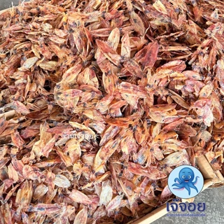 หมึกตัวเล็ก ขนาด 250-500 กรัม สดใหม่จากมหาชัย
