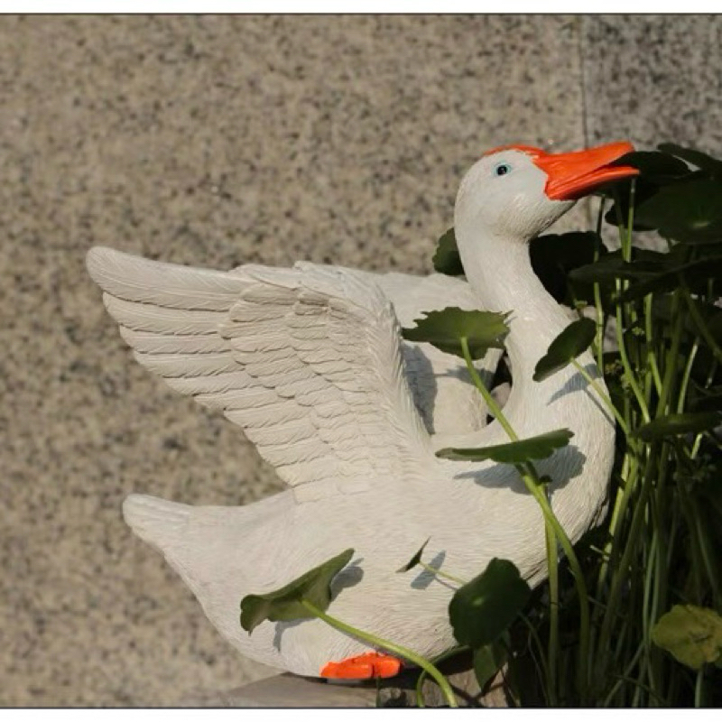 Decorative garden duck pond  อ่างเป็ดตกแต่งสวน  เพิ่มชีวิตชีวาให้สวนของคุณ ด้วยเป็ดตัวจิ๋วสุดน่ารัก  . ราคา ถูกที่สุด ดีลบีเคเค แกลเลอรีภาพที่ 8
