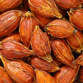 枝籽เม็ดพุดจีน 500 กรัม ไว้ต้มใส่เก็กฮวยทำให้สีเหลืองน่ารับประ…