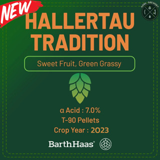 Hallertau Tradition Hops 1 oz ฮอปส์ เพลลิท ทำเบียร์​ Pale Al…