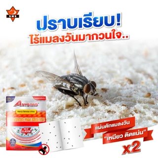กาวดักแมลงวัน ANYBOND 1ซอง 10แผ่น ขายส่ง🔥 ZYZ-12
