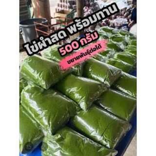 ไข่ผำสดพร้อมทาน 500 กรัม (เพาะเลี้ยงขยายพันธุ์ได้)