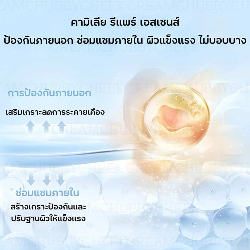 Simpcare【ร้านครีมแก้มอ้วน】สกินแคร์เอสเซนส์ดอกคามิเลีย ฟื้นฟูผิวและบำรุงผิวที่อ่อนโยน thumbnail 5