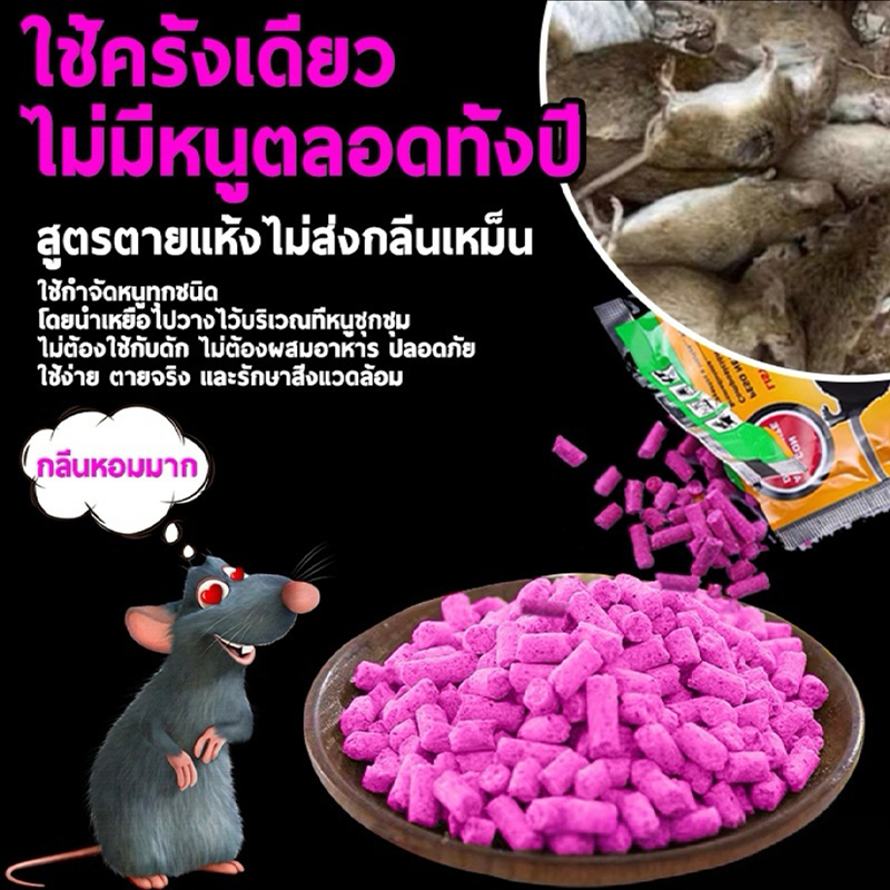 โปรด่วน! ยาเบื่อหนูแห้งสูตรแรง ฆ่าหนูตายยกรัง 100% ปลอดภัยในบ้าน เหยื่อกำจัดหนูด่วนเห็นผล สะตอมยาเบื่อหนูแรงที่สุด 2025