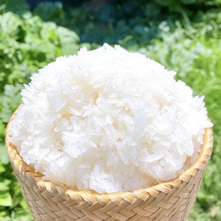 ข้าวเหนียวเขี้ยวงูแท้ตราจัสมิน 5 กิโลกรัม / 1ถุง