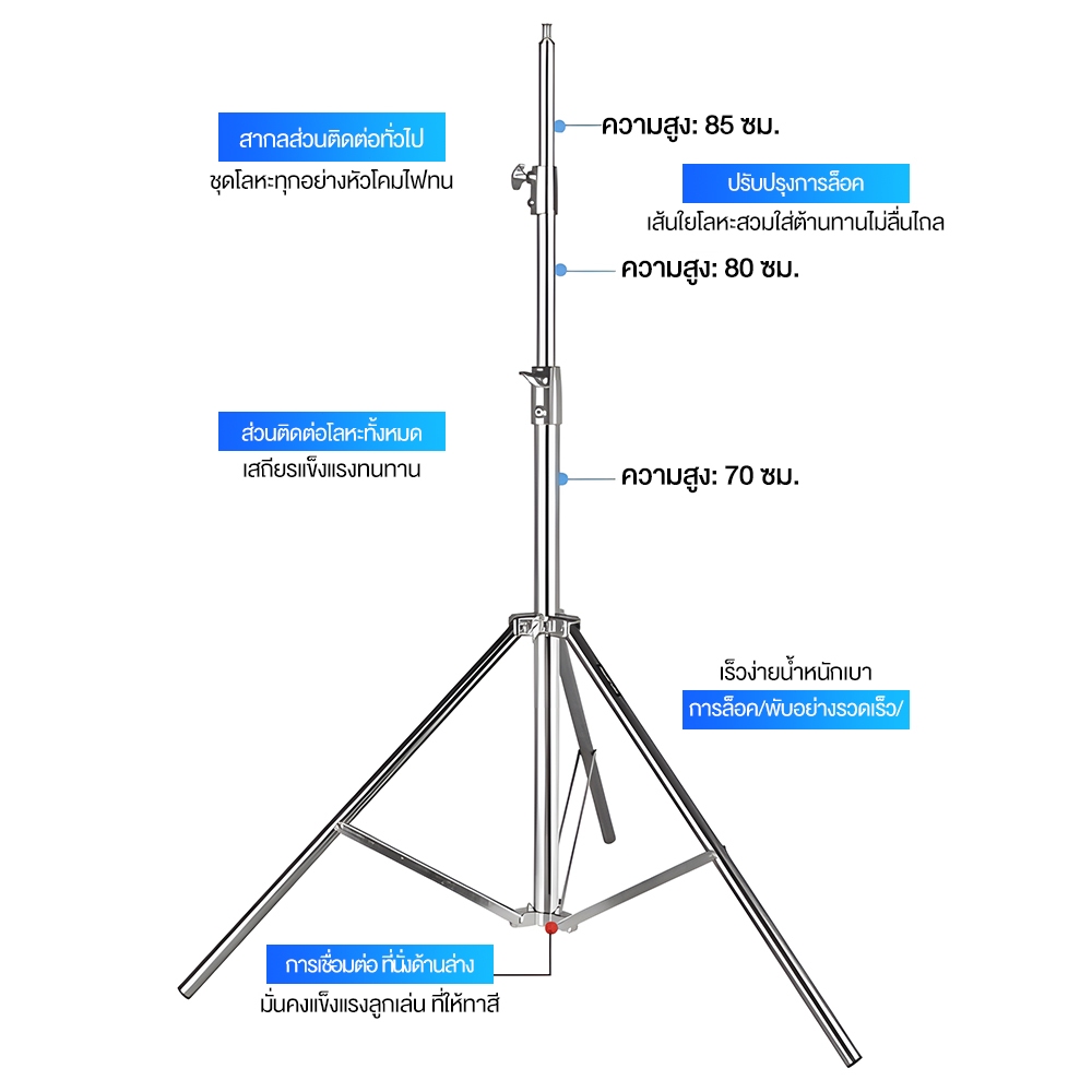 รูปภาพ 5