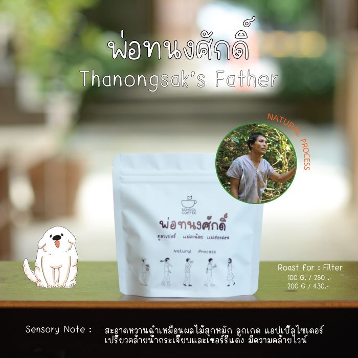 เมล็ดกาแฟ พ่อทนงศักดิ์ ดูลาเปอร์ แม่ลาน้อย จ.แม่ฮ่องสอน