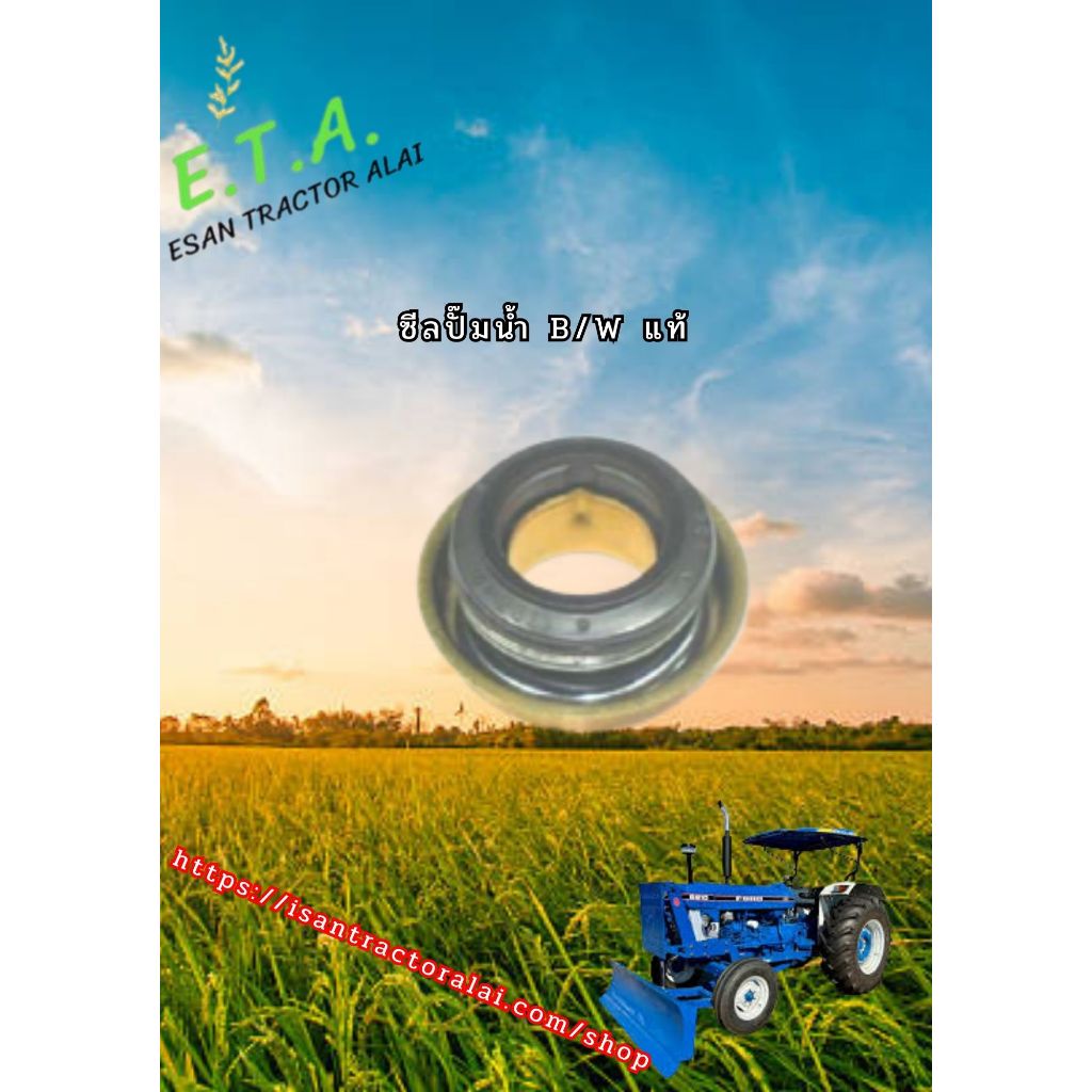 ซีลปั๊มน้ำ B/W แท้ CODe:3-08-113-01 FORD ฟอร์ด