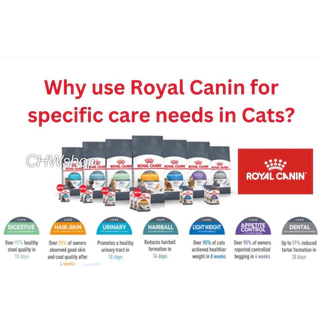 Royal Canin Cat Pouch อาหารแมวแบบเปียก ราคาดี ส่งไว เฉพาะที่นี่
