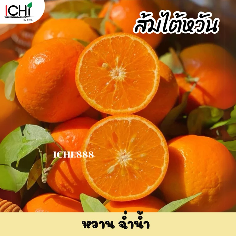 ส้ม 1 Kg. ส้มไต้หวัน ส้มจุก ส้มแมนดารินฯลฯ