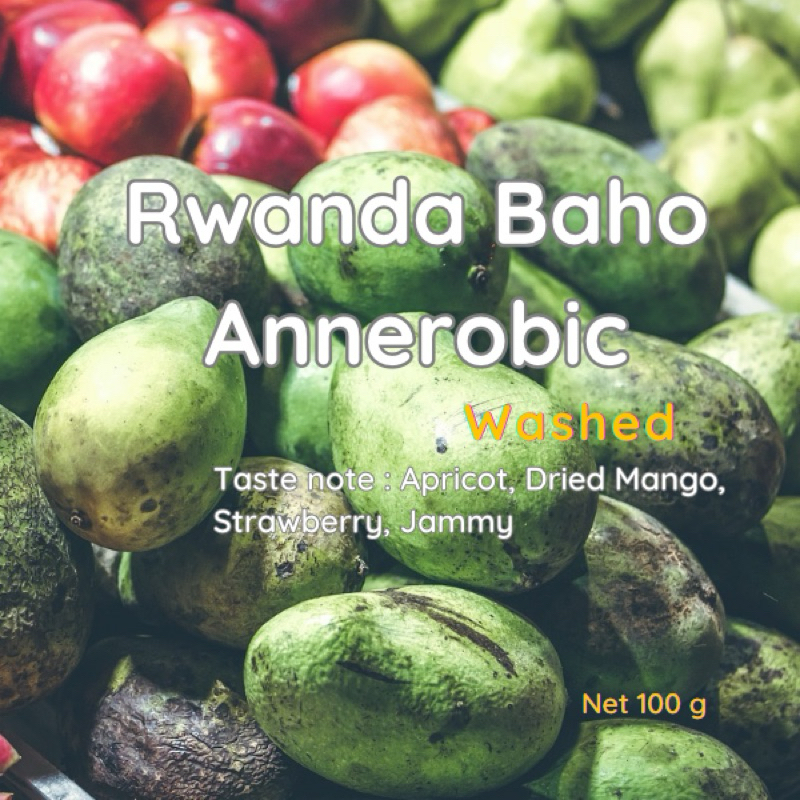 เมล็ดกาแฟ Rwanda Baho Annerobic 150g คั่วอ่อน